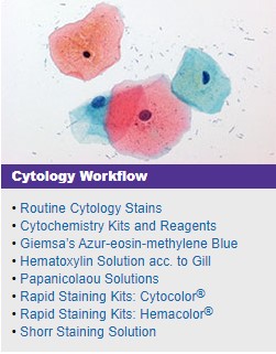 Cytology Workflow